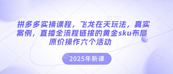 拼多多实操课程，飞龙在天玩法，真实案例，直播全流程链接的黄金sku布局原价操作六个活动-易购买商城