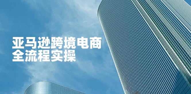 (14252期)亚马逊跨境电商全流程实操,教你从零开始,掌握店铺运营与广告技巧-易购买商城