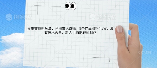 AI养生赛道新玩法,10条作品涨粉5.2W,操作简单,新人小白能轻松制作-易购买商城