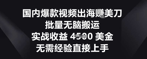 国内爆款视频出海挣美刀，批量无脑搬运，实战收益4.5k，无需经验直接上手-易购买商城