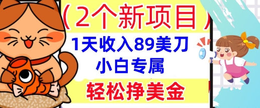2个新项目,轻松挣美金, 1天收入89美刀,小白专属,干货分享-易购买商城
