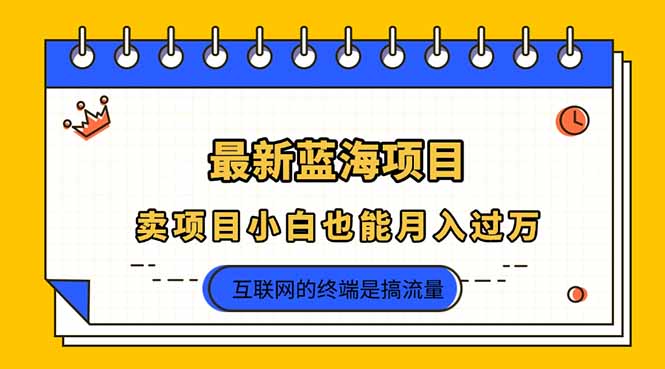 （14289期）2025年最新蓝海项目，卖项目小白也能月入过万-易购买商城