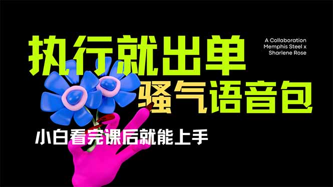 （14170期）爆火全网的开车导航骚气语音包,只要执行就出单，小白看完课程就能实操...-易购买商城